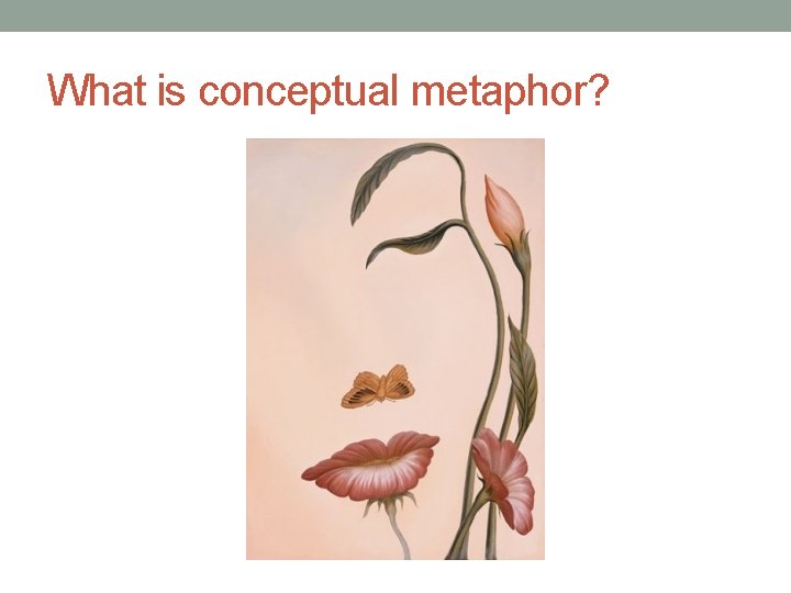 What is conceptual metaphor? 