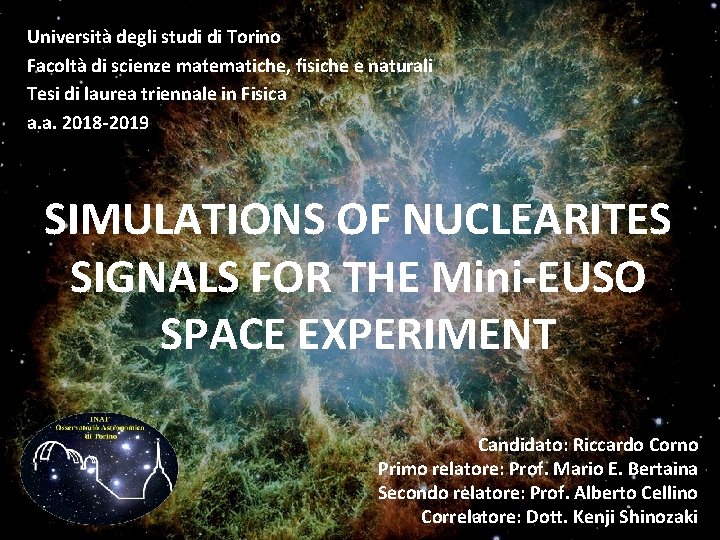 Università degli studi di Torino Facoltà di scienze matematiche, fisiche e naturali Tesi di