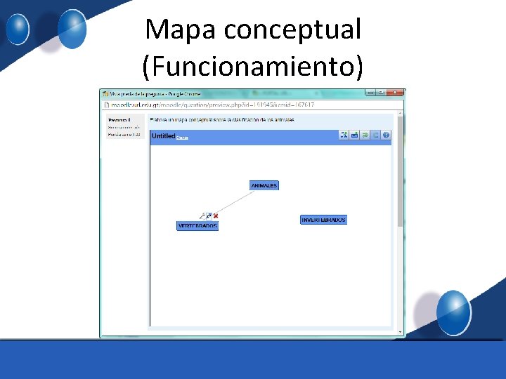 Mapa conceptual (Funcionamiento) 