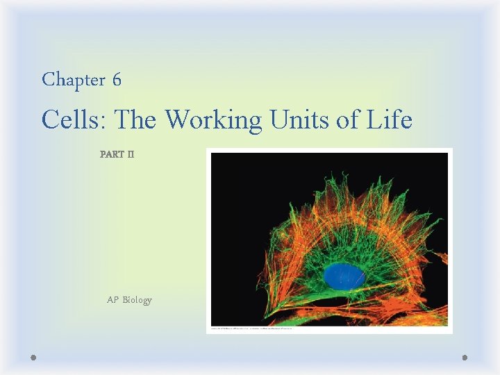 Chapter 6 Cells: The Working Units of Life PART II AP Biology 