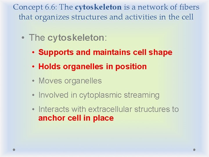 Concept 6. 6: The cytoskeleton is a network of fibers that organizes structures and