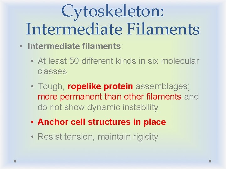 Cytoskeleton: Intermediate Filaments • Intermediate filaments: • At least 50 different kinds in six