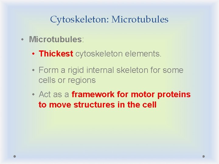 Cytoskeleton: Microtubules • Microtubules: • Thickest cytoskeleton elements. • Form a rigid internal skeleton