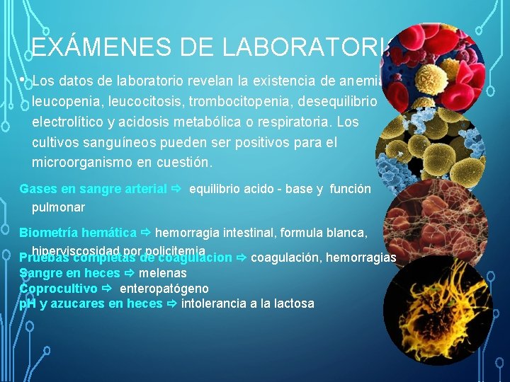 EXÁMENES DE LABORATORIO • Los datos de laboratorio revelan la existencia de anemia, leucopenia,