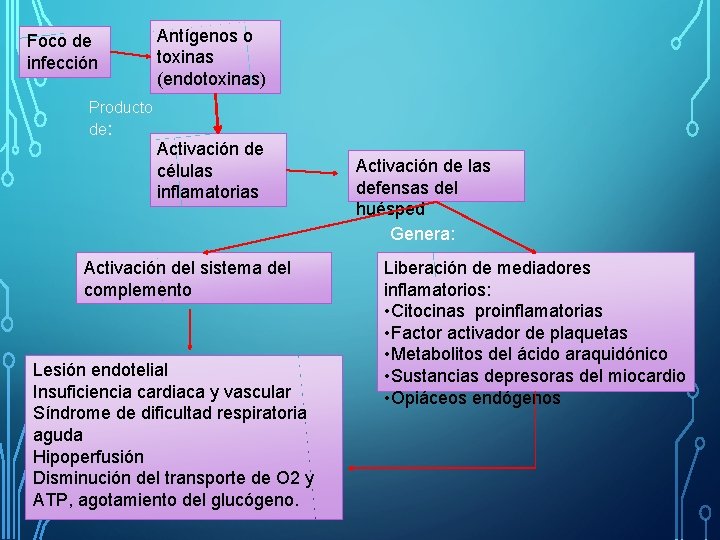 Foco de infección Antígenos o toxinas (endotoxinas) Producto de: Activación de células inflamatorias Activación