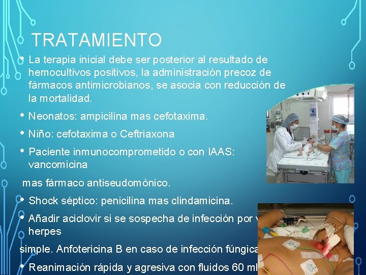 TRATAMIENTO • La terapia inicial debe ser posterior al resultado de hemocultivos positivos, la