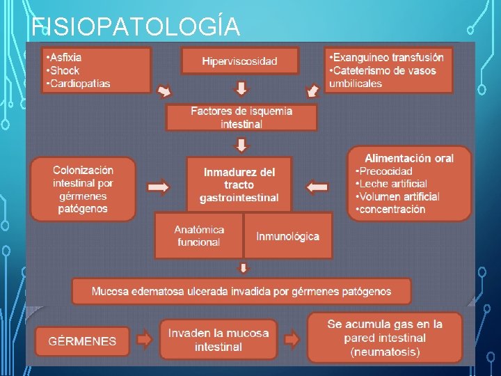 FISIOPATOLOGÍA 
