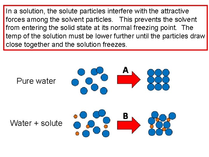 In a solution, the solute particles interfere with the attractive forces among the solvent