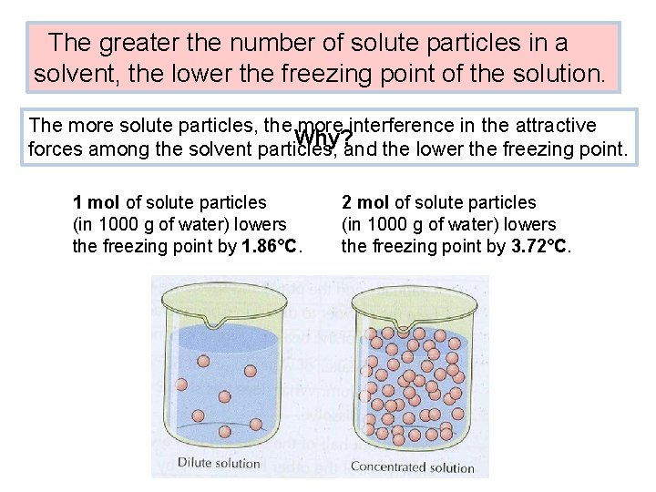 The greater the number of solute particles in a solvent, the lower the freezing