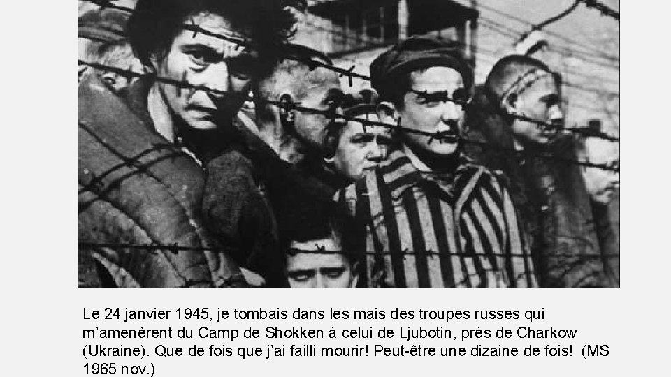 Le 24 janvier 1945, je tombais dans les mais des troupes russes qui m’amenèrent