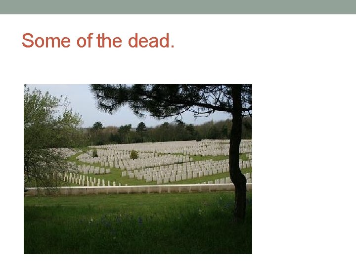 Some of the dead. 