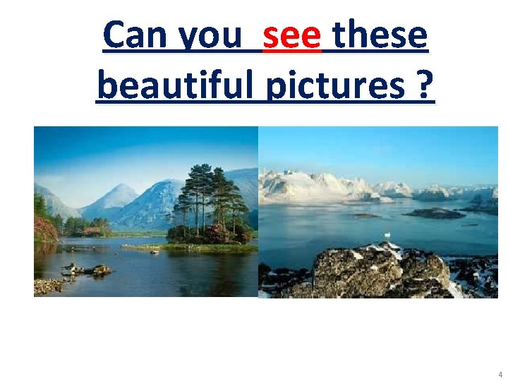 Can you see these beautiful pictures ? 4 