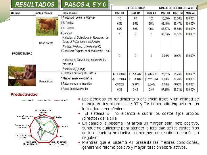 RESULTADOS PASOS 4, 5 Y 6 Productividad § Las pérdidas en rendimiento o eficiencia