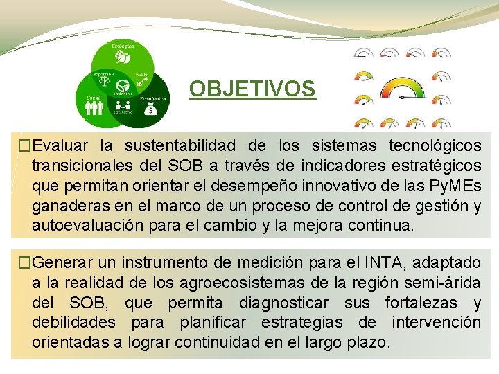 OBJETIVOS �Evaluar la sustentabilidad de los sistemas tecnológicos transicionales del SOB a través de