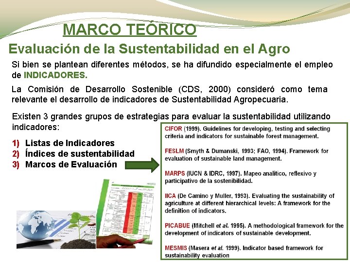 MARCO TEÓRICO Evaluación de la Sustentabilidad en el Agro Si bien se plantean diferentes