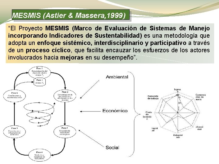 MESMIS (Astier & Massera, 1999) “El Proyecto MESMIS (Marco de Evaluación de Sistemas de