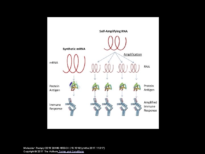 Molecular Therapy 2018 26446 -455 DOI: (10. 1016/j. ymthe. 2017. 11. 017) Copyright ©