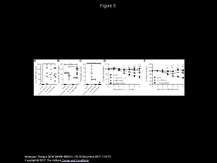 Figure 5 Molecular Therapy 2018 26446 -455 DOI: (10. 1016/j. ymthe. 2017. 11. 017)