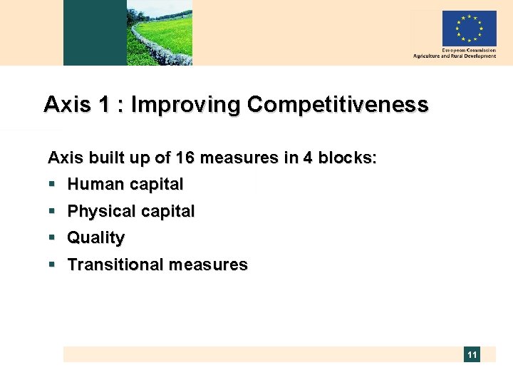 Axis 1 : Improving Competitiveness Axis built up of 16 measures in 4 blocks: