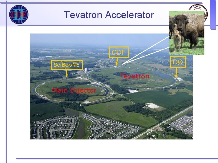 Tevatron Accelerator CDF DØ Sci. Boo. NE Tevatron Main Injector Tevatron Accelerator CDF DØ Sci. Boo. NE Tevatron Main Injector