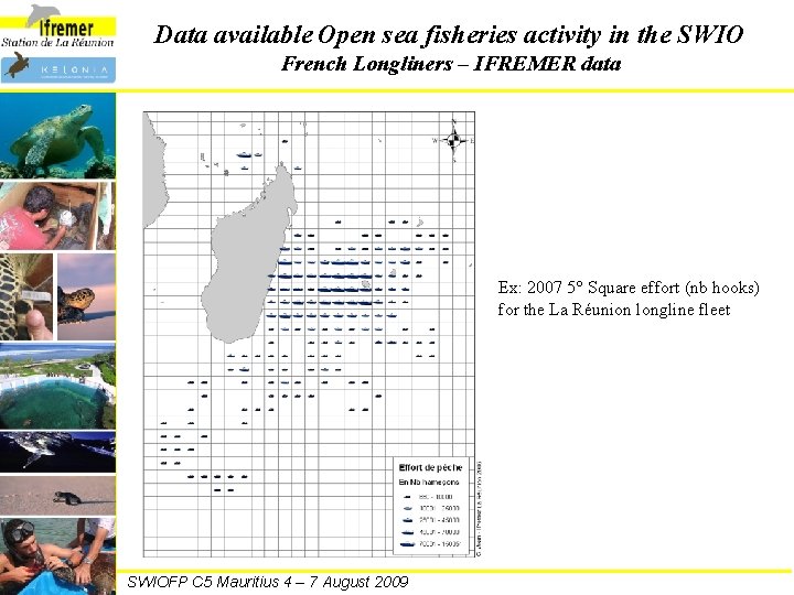 Data available Open sea fisheries activity in the SWIO French Longliners – IFREMER data
