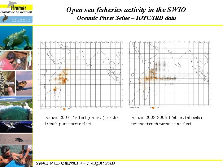 Open sea fisheries activity in the SWIO Oceanic Purse Seine – IOTC/IRD data Ex