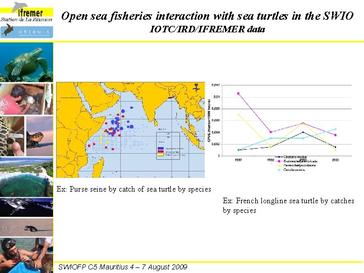 Open sea fisheries interaction with sea turtles in the SWIO IOTC/IRD/IFREMER data Ex: Purse