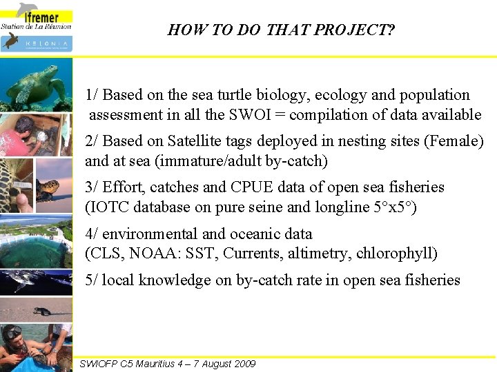 HOW TO DO THAT PROJECT? 1/ Based on the sea turtle biology, ecology and