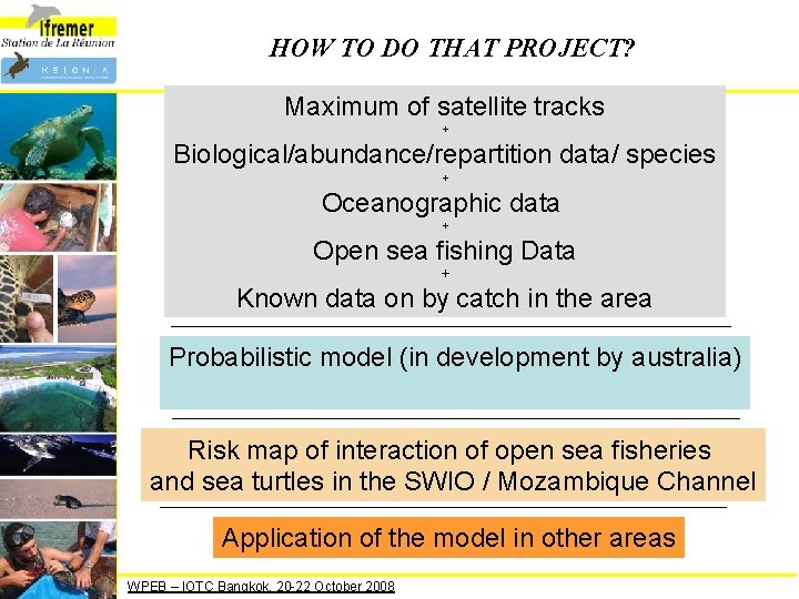 HOW TO DO THAT PROJECT? Maximum of satellite tracks + Biological/abundance/repartition data/ species +