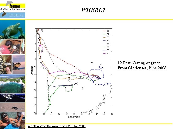 WHERE? 12 Post Nesting of green From Glorieuses, June 2008 WPEB – IOTC Bangkok,