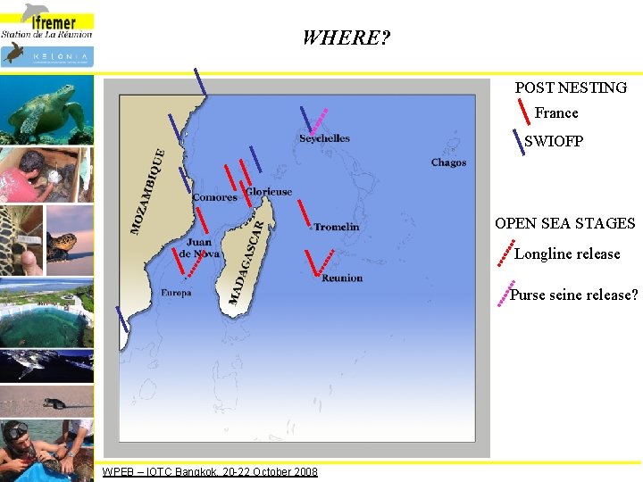 WHERE? POST NESTING France SWIOFP OPEN SEA STAGES Longline release Purse seine release? WPEB