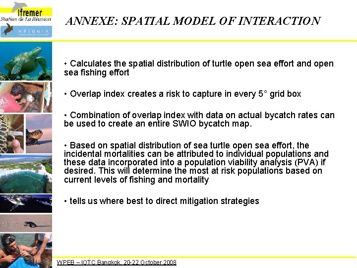 ANNEXE: SPATIAL MODEL OF INTERACTION • Calculates the spatial distribution of turtle open sea