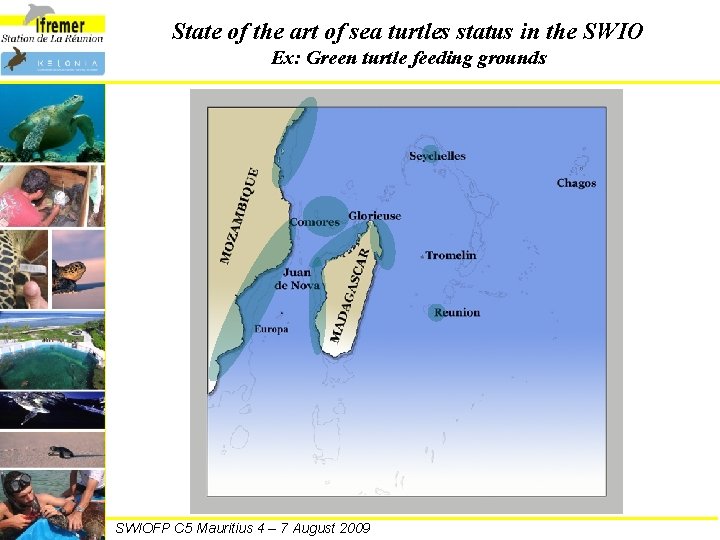 State of the art of sea turtles status in the SWIO Ex: Green turtle