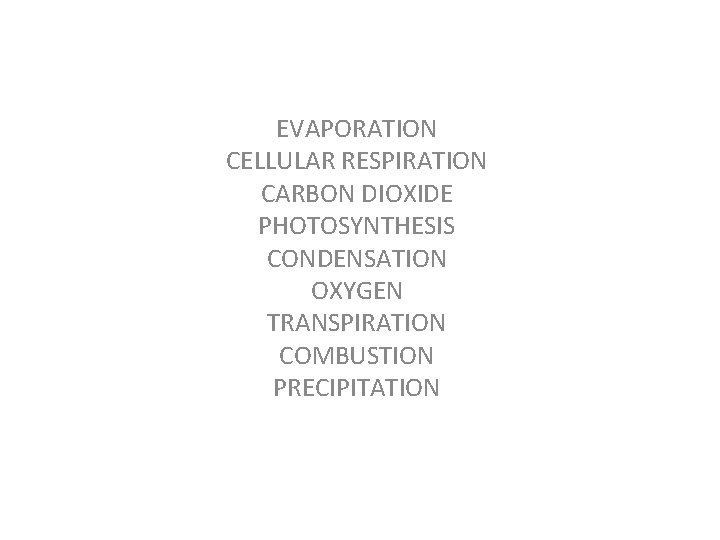 EVAPORATION CELLULAR RESPIRATION CARBON DIOXIDE PHOTOSYNTHESIS CONDENSATION OXYGEN TRANSPIRATION COMBUSTION PRECIPITATION 