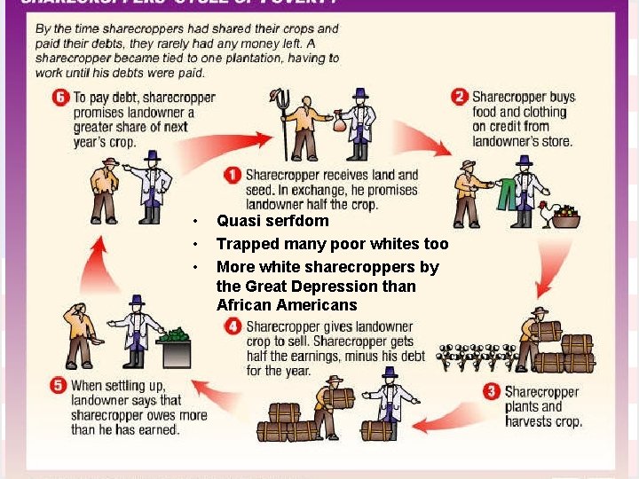  • • • Quasi serfdom Trapped many poor whites too More white sharecroppers