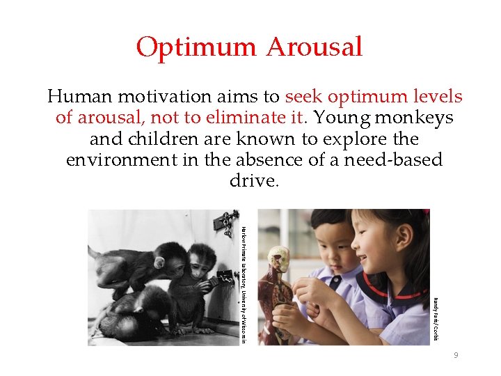 Optimum Arousal Human motivation aims to seek optimum levels of arousal, not to eliminate Optimum Arousal Human motivation aims to seek optimum levels of arousal, not to eliminate
