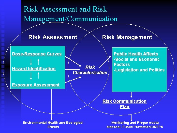 Risk Assessment and Risk Management/Communication Risk Assessment Risk Management Dose-Response Curves Hazard Identification Risk