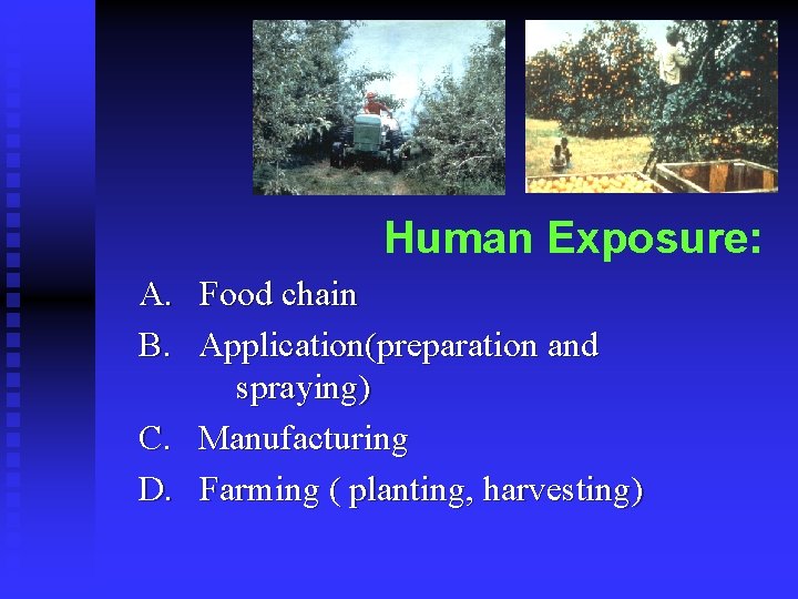 Human Exposure: A. Food chain B. Application(preparation and spraying) C. Manufacturing D. Farming (