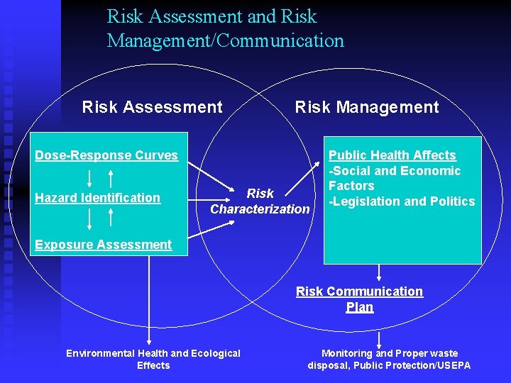 Risk Assessment and Risk Management/Communication Risk Assessment Risk Management Dose-Response Curves Hazard Identification Risk