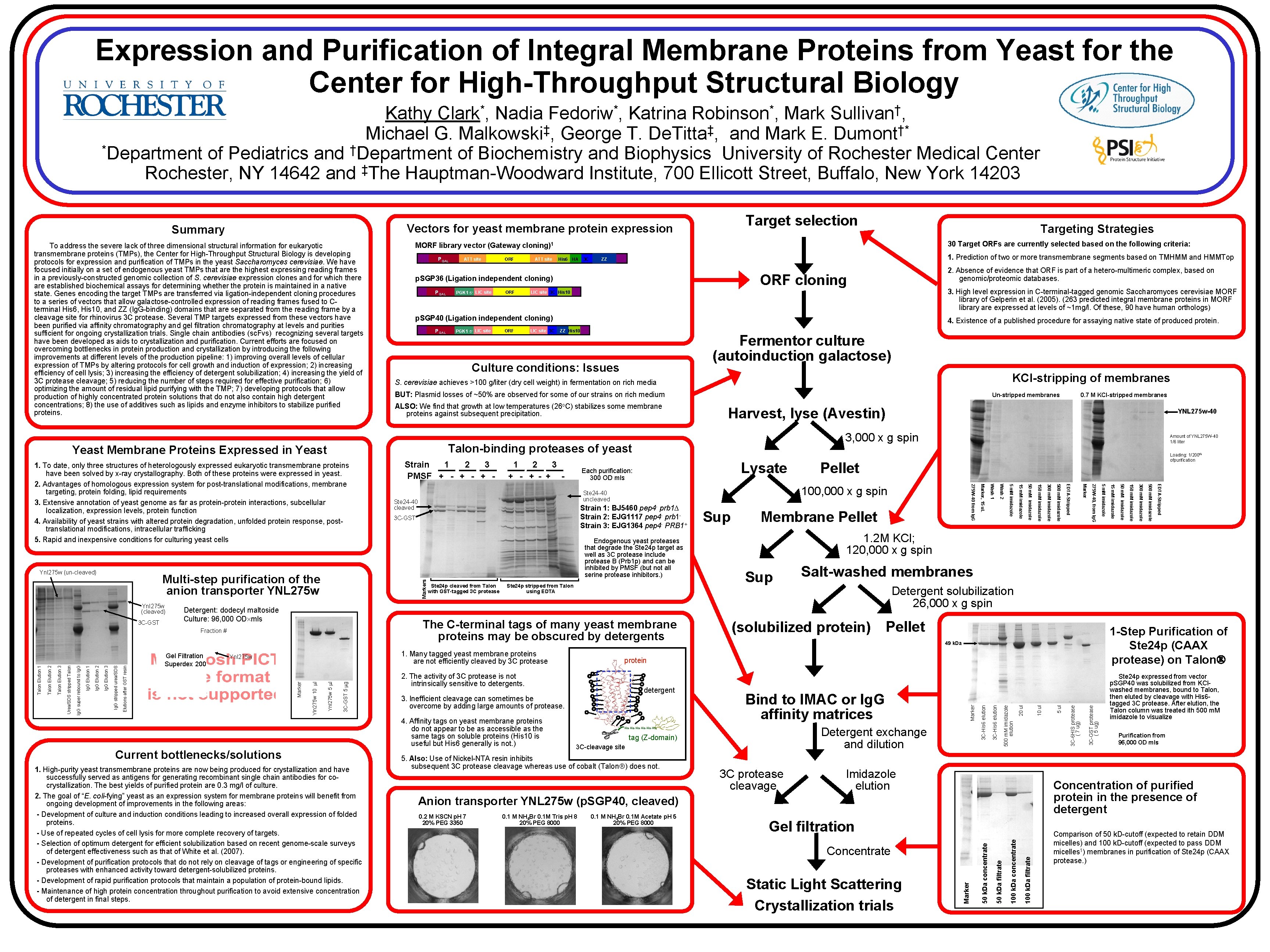 Expression and Purification of Integral Membrane Proteins from Yeast for the Center for High-Throughput