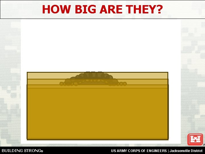 HOW BIG ARE THEY? BUILDING STRONG® US ARMY CORPS OF ENGINEERS | Jacksonville District