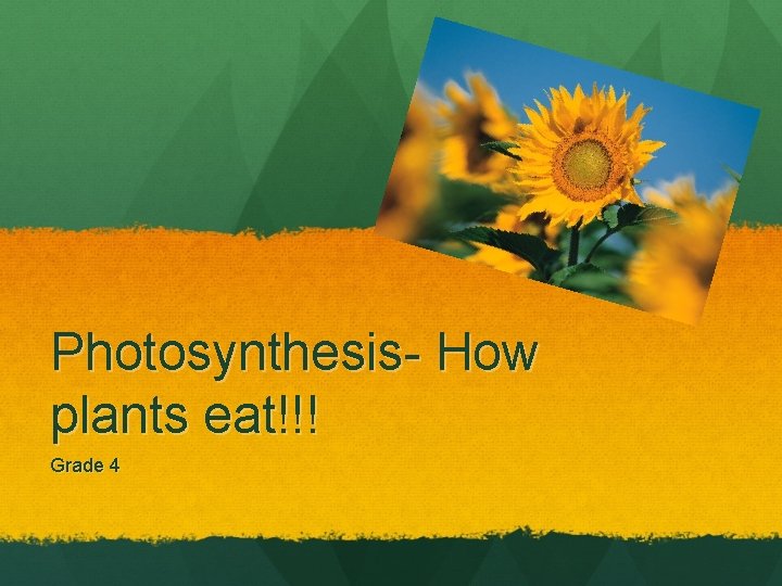 Photosynthesis- How plants eat!!! Grade 4 