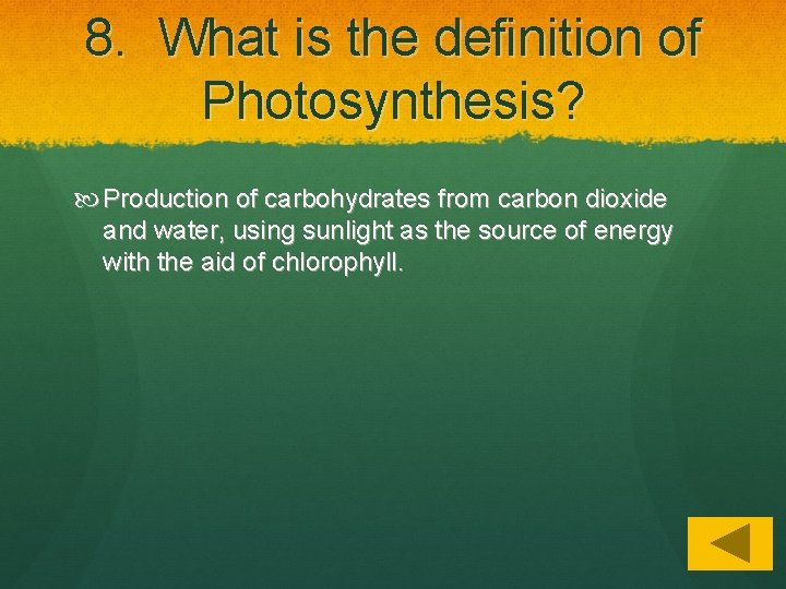Photosynthesis How plants eat Grade 4 Heterograph vs