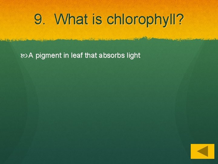 9. What is chlorophyll? A pigment in leaf that absorbs light 