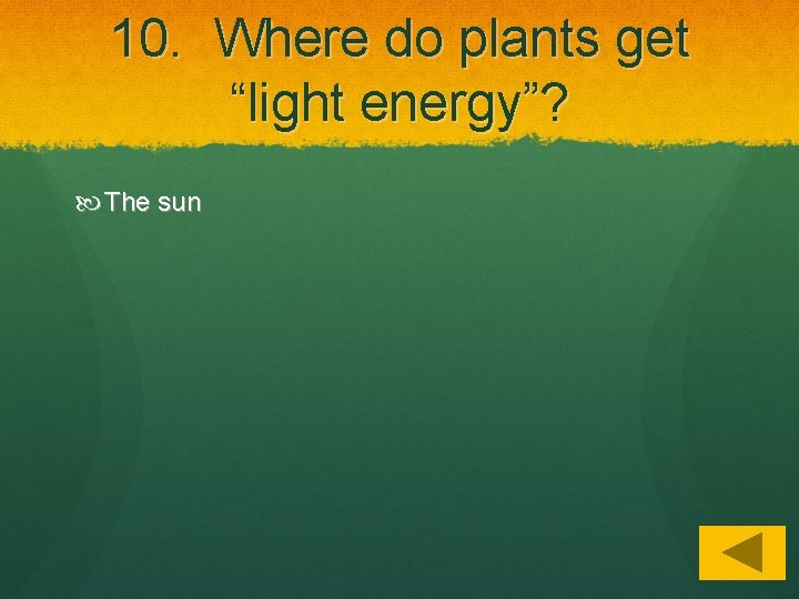 Photosynthesis How plants eat Grade 4 Heterograph vs