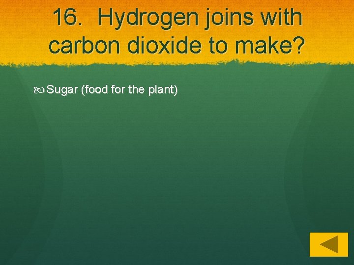 16. Hydrogen joins with carbon dioxide to make? Sugar (food for the plant) 