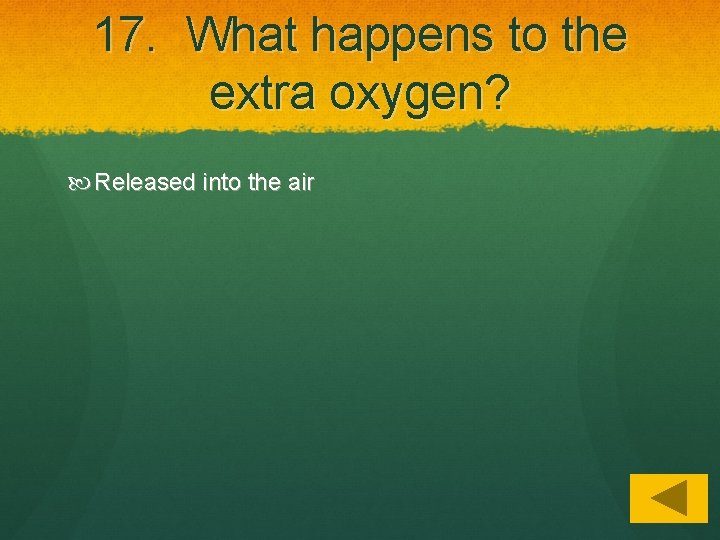 17. What happens to the extra oxygen? Released into the air 