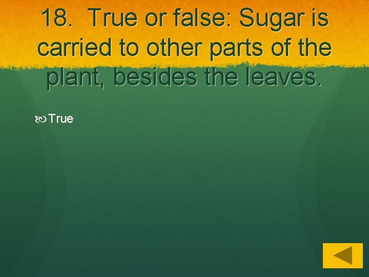 18. True or false: Sugar is carried to other parts of the plant, besides