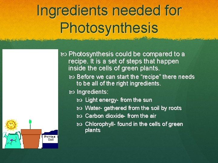 Ingredients needed for Photosynthesis could be compared to a recipe. It is a set