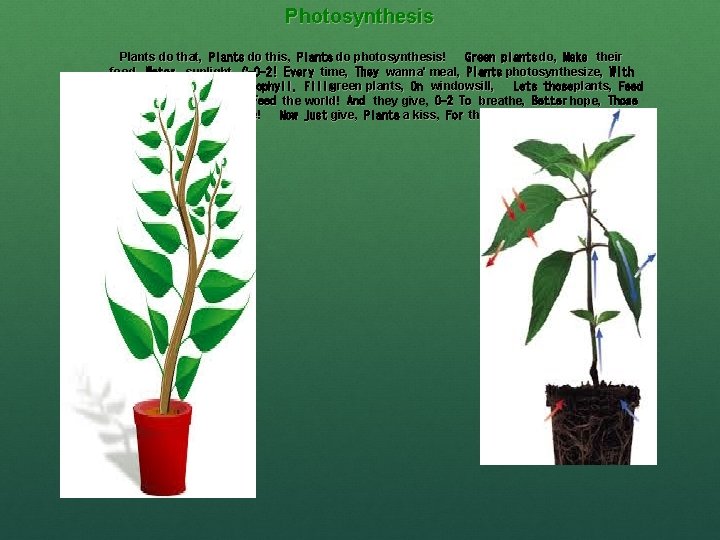 Photosynthesis Plants do that,  Plants do this,  Plants do photosynthesis!   Green plants do,  Make